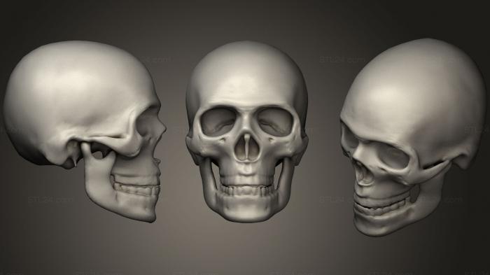 Анатомия скелеты и черепа (Металлический череп 43, ANTM_0896) 3D модель для ЧПУ станка